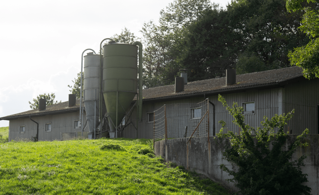 Ferme élevage intensif