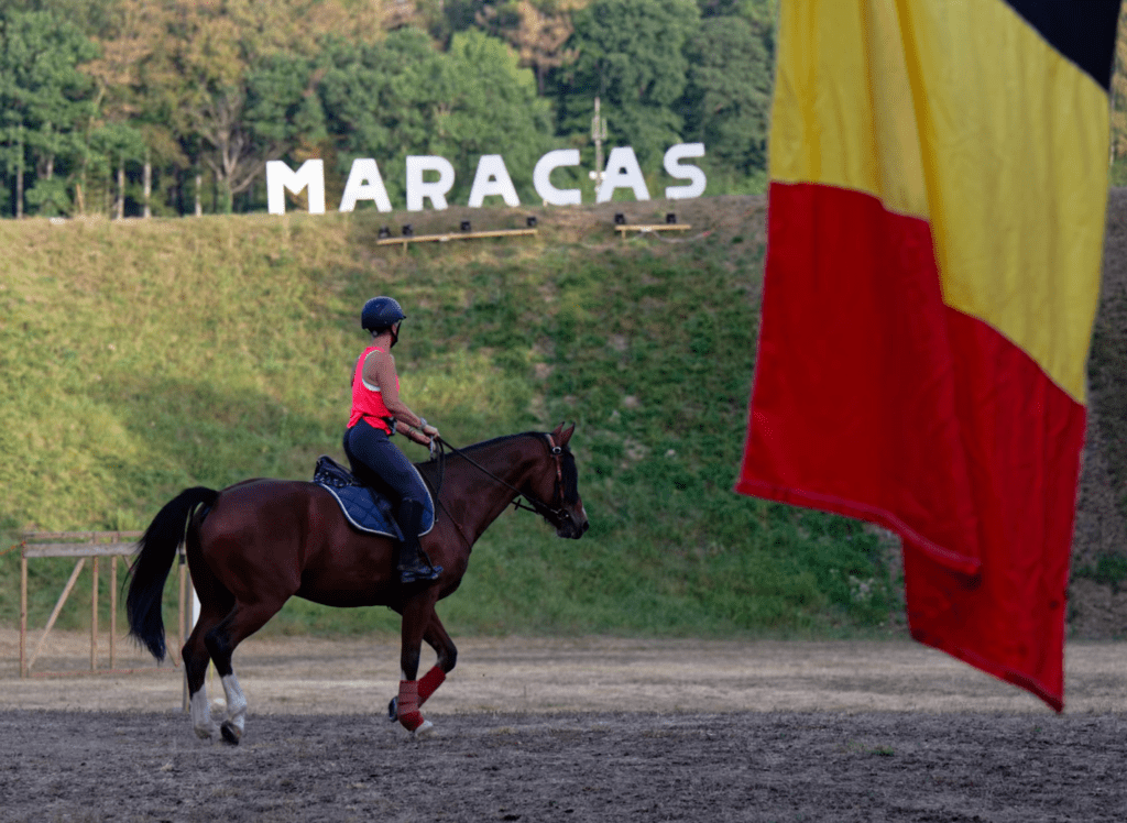 Maracas,photo,musique,festival