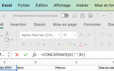 Formule Excel Elephas 4