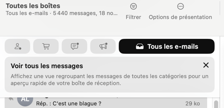 Interface boîte mail avec options et aperçu messages.