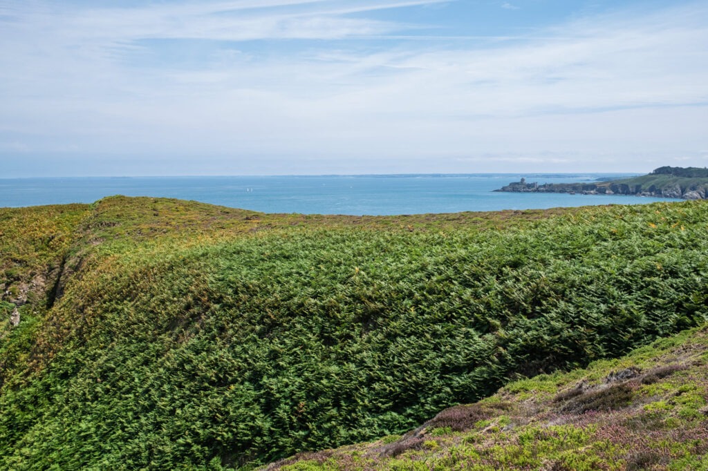 Paysage côtier breton avec falaises et mer bleue.