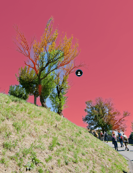 Groupe de personnes marchant sur une colline herbeuse.