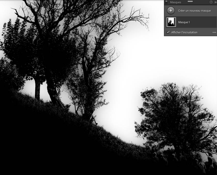 Silhouette d'arbres sur colline en noir et blanc.