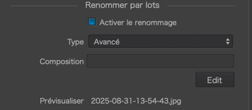 Interface de renommer par lots, option avancée.