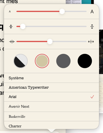 Menu des options de texte et polices sur iOS.