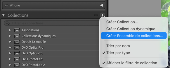 Menu de gestion des collections dans le logiciel.