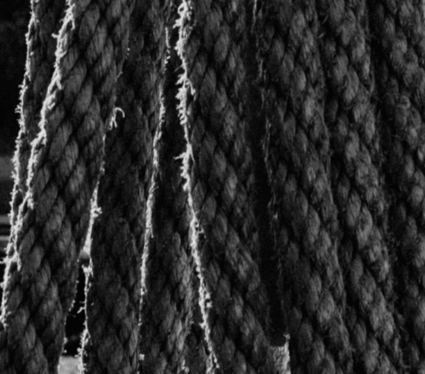 Corde en gros plan en noir et blanc.