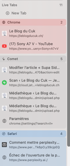 Fenêtre de gestion de différents onglets de navigation.