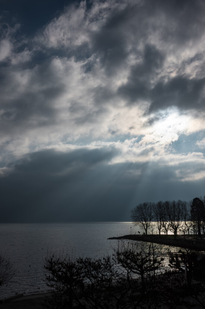 Paysage lacustre avec arbres et ciel nuageux.