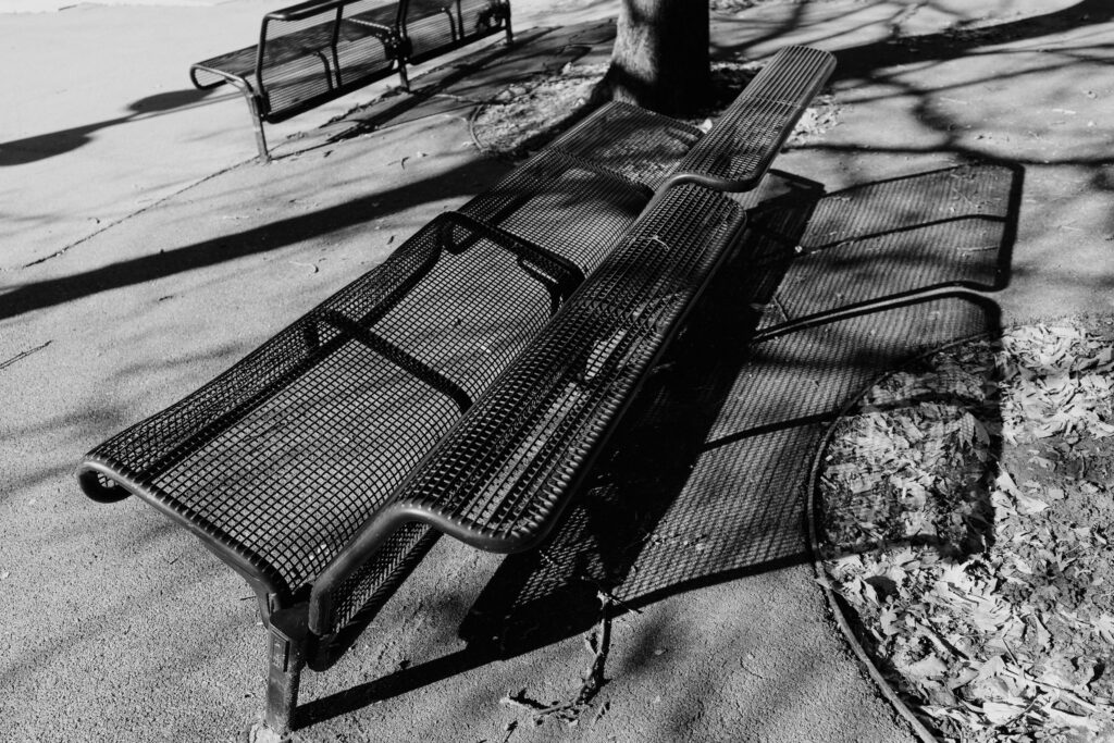 Bancs en métal sous les arbres