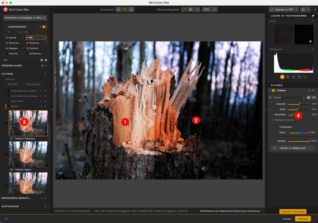 Interface Nik Color Efex avec souche d’arbre
